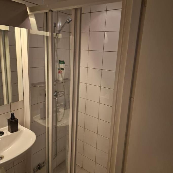 Serene 1 Bedroom Oslo